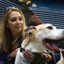 Charlie's Angels Pet Fair at MGM
