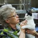 Charlie's Angels Pet Fair at MGM