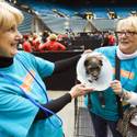 Charlie's Angels Pet Fair at MGM