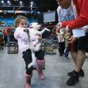 Charlie's Angels Pet Fair at MGM