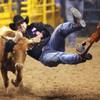 Luke Branquinho of Los Alamos, Calif., wrestles a steer during the final round of the National Finals Rodeo at the Thomas & Mack Center in Las Vegas Saturday, December 10, 2011.