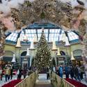 Winter Exhibit at Bellagio Conservatory