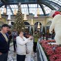 Winter Exhibit at Bellagio Conservatory