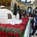 Winter Exhibit at Bellagio Conservatory