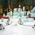 Winter Exhibit at Bellagio Conservatory