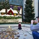 Winter Exhibit at Bellagio Conservatory