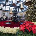 Winter Exhibit at Bellagio Conservatory