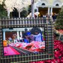 Winter Exhibit at Bellagio Conservatory