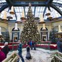 Winter Exhibit at Bellagio Conservatory
