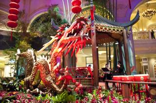 The Bellagio Conservatory decorates it's gardens with a very special Chinese New Year theme, Monday Jan. 9, 2012.