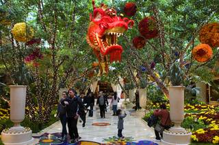 Chinese New Year decorations are displayed Wynn Las Vegas Sunday, Jan. 22, 2012.  The first day of the Chinese New Year, the Year of the Dragon, begins at midnight on January 23, 2012.