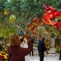 Vegas casinos decorate for Chinese New Year