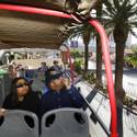 Open Top Bus Tours