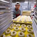 Making Bagels at Bagel Bagel