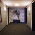 The Martin Finishes $3 Million Renovation