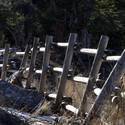 Mount Charleston Scenics