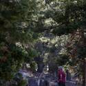 Mount Charleston Scenics