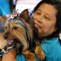 Rufus Wins Best In Show