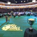 Rufus Wins Best In Show