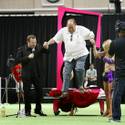 Rufus Wins Best In Show