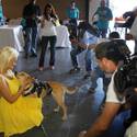 Rufus Wins Best In Show