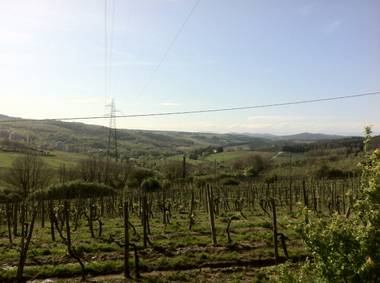 A view of the Tuscan countryside.