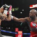 More 0505 Boxing
