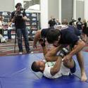 Workouts for UFC 146