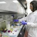UNLV Radiochemistry Program