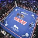 More Pacman Bradley photos