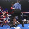 More Pacman Bradley photos
