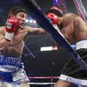 More Pacman Bradley photos