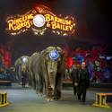 Ringling Bros. and Barnum & Bailey