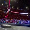 Ringling Bros. and Barnum & Bailey