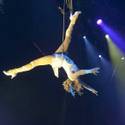 Ringling Bros. and Barnum & Bailey