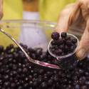 Healthy Foods at the IFT Food Expo