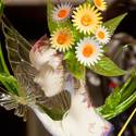 Team Japan Wins World Pastry Championship