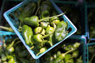 Padrone peppers for sale from the Intuitive Forager at the Downtown Third Farmer’s Market in Las Vegas on Friday, July 20,&nbsp;2012.