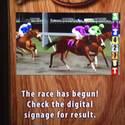 Virtual Horse Racing at the South Point