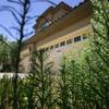 Weeds surround a foreclosed house on Rock Cove Way in Southern Highlands.