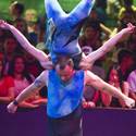 Circus Circus - Duo Joys