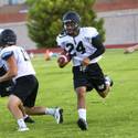 Palo Verde Prepares for Desert Vista