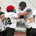 Palo Verde Prepares for Desert Vista