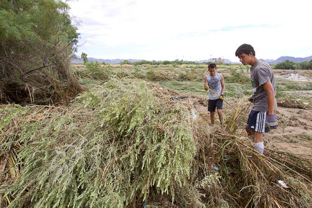 Green Valley High School students Jesse Rogers, left, and Tyler Fyock help search for Henderson teen William Mootz near the Duck Creek channel, north of Sam Boyd Stadium Thursday, Aug. 23, 2012. Mootz, a Green Valley High School student, was swept away by storm run off in the Pittman Wash Wednesday.