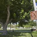 Downtown Parks