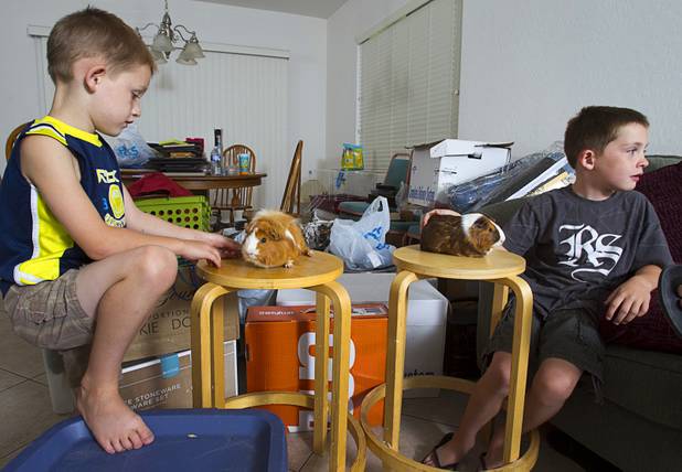 Preston, 5, and Theirry Lovelady, 7, play with pet guinea pigs in their home Tuesday, Aug. 28, 2012. The Lovelady family lost nearly all their possessions when their moving truck was stolen earlier this month but the Las Vegas community helped out with donated furniture, goods and a fundraiser after their story was broadcast on KNTV-Channel 13 news, Rebecca Lovelady, a UNLV graduate student.