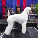 Pet Products at SuperZoo