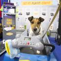 Pet Products at SuperZoo