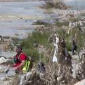Search for the missing Landscaper
