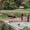 Search for the missing Landscaper
